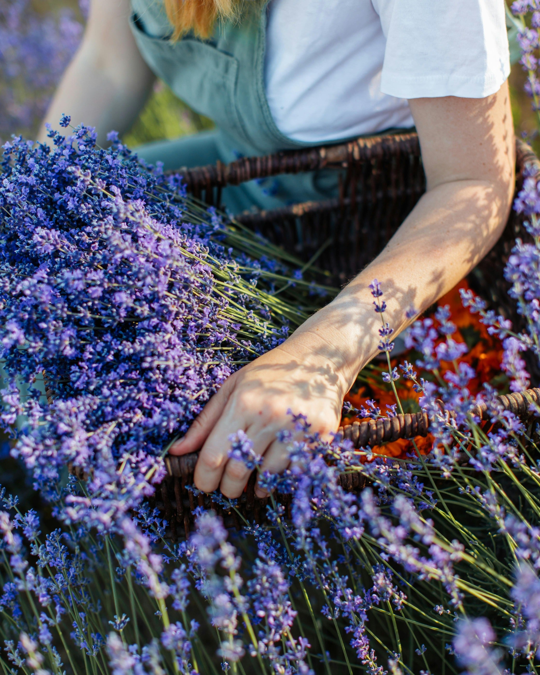 Pillow Mist 催眠枕頭噴霧 (Lavender 薰衣草)